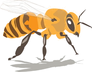 Dia do Apicultor